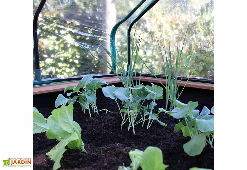 Axi Table De Culture En Bois De Hemlock + Bâche Plastique - 110 X 93 X 99 Cm – Image 6