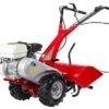Motoculteur Thermique 4 Fraises 163 CC – RTT 2 (Honda)