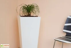 Pot De Fleurs En Polyéthylène Hydrus - 39 X 39 X 85 Cm