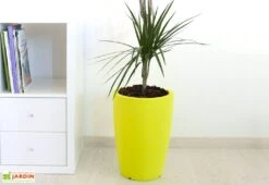 Pot De Fleurs Polyéthylène Hydra H50 Ø36 (pls. Coloris)