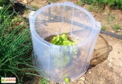 Rehausse Pour Cloche Potagère à Forcer Modulo ø35 Cm (lot De 3)