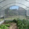 Serre Tunnel Tonneau En Polyéthylène 36 M² - 4 Saisons 12 X 3 M